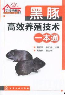 黑豚养殖技术视频,从入门到精通